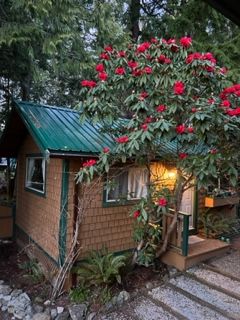 The Bamfield Cabin